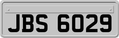 JBS6029