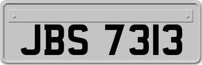 JBS7313