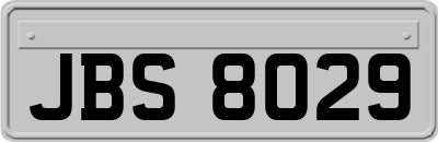 JBS8029