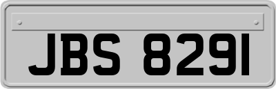 JBS8291