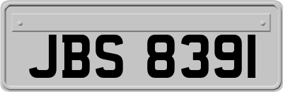 JBS8391