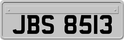JBS8513