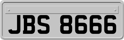 JBS8666