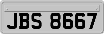 JBS8667