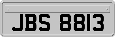 JBS8813