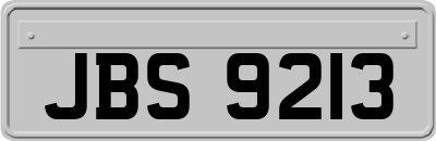 JBS9213