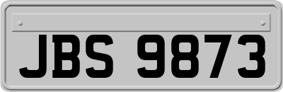 JBS9873