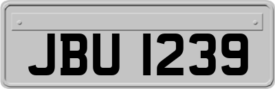 JBU1239
