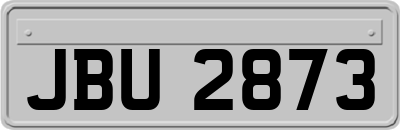 JBU2873