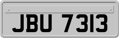 JBU7313