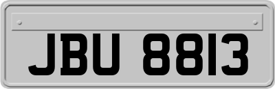 JBU8813