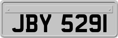 JBY5291