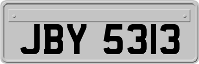 JBY5313