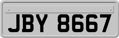 JBY8667