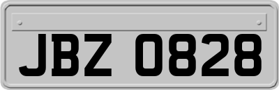 JBZ0828