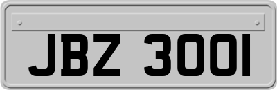 JBZ3001
