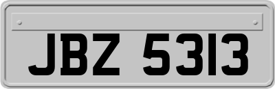 JBZ5313