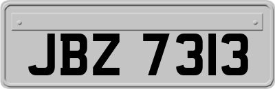 JBZ7313