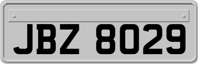 JBZ8029