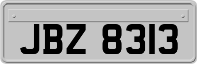 JBZ8313