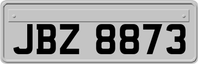 JBZ8873