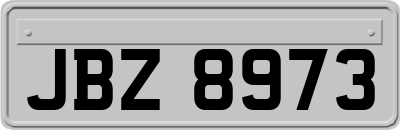 JBZ8973