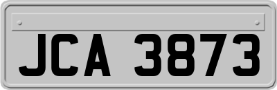 JCA3873