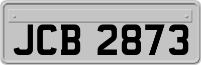 JCB2873