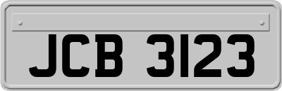 JCB3123