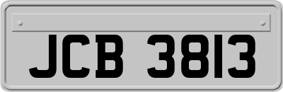 JCB3813