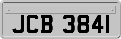 JCB3841