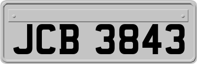 JCB3843