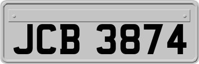 JCB3874