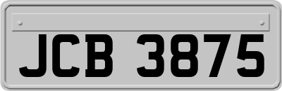 JCB3875