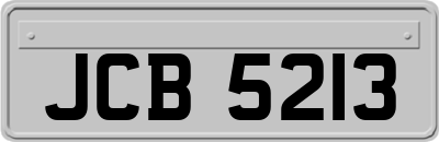 JCB5213