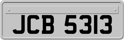 JCB5313