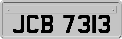 JCB7313