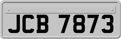 JCB7873