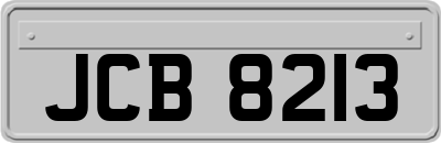 JCB8213
