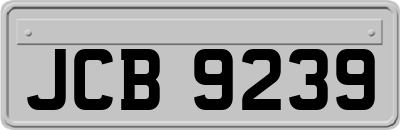 JCB9239