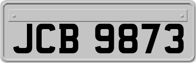 JCB9873