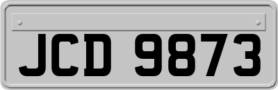 JCD9873