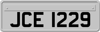 JCE1229
