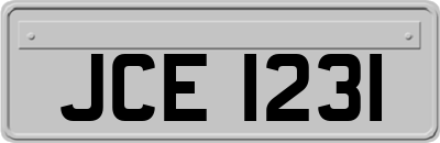 JCE1231