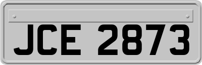 JCE2873