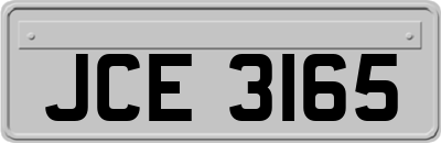 JCE3165