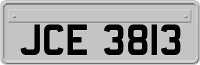 JCE3813