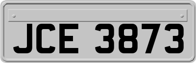 JCE3873