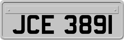 JCE3891