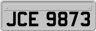 JCE9873